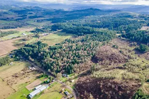 39042 Mt Hope Dr, Lebanon, OR 97355 - Photo 30