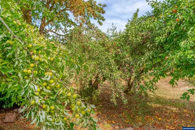 24975 S Yamhill River Rd, Willamina, OR 97396 - Photo 44