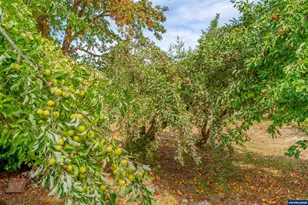 24975 S Yamhill River Rd, Willamina, OR 97396 - Photo 44