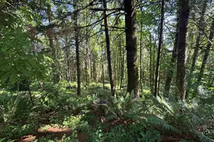 6100 Teal Creek Rd, Dallas, OR 97338 - Photo 44