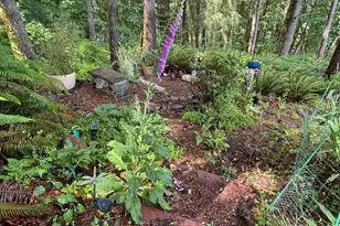 6100 Teal Creek Rd, Dallas, OR 97338 - Photo 38