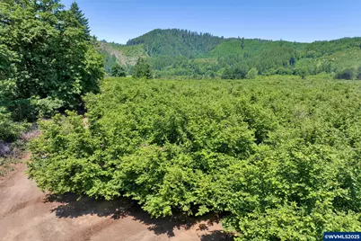 17246 Alsea Hwy, Alsea, OR 97324 - Photo 24