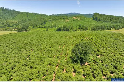 17246 Alsea Hwy, Alsea, OR 97324 - Photo 12