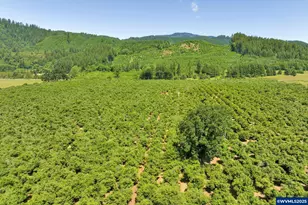 17246 Alsea Hwy, Alsea, OR 97324 - Photo 12