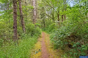 38380 Soap Creek Rd, Corvallis, OR 97330 - Photo 36