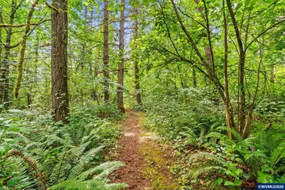 38380 Soap Creek Rd, Corvallis, OR 97330 - Photo 36