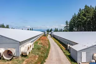 25641 S Schockley Rd, Beavercreek, OR 97004 - Photo 4