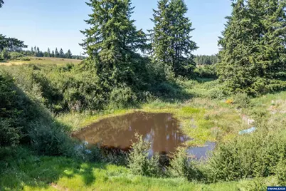 25641 S Schockley Rd, Beavercreek, OR 97004 - Photo 36