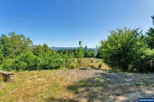 45265 Sunnyside Dr, Foster, OR 97345 - Photo 42