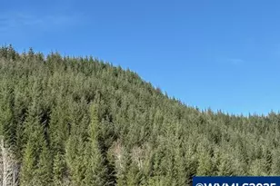 000 Logsden Rd, Blodgett, OR 97326 - Photo 1