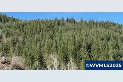 000 Logsden Rd, Blodgett, OR 97326 - Photo 4