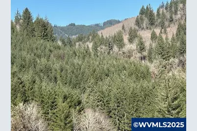 000 Logsden Rd, Blodgett, OR 97326 - Photo 6