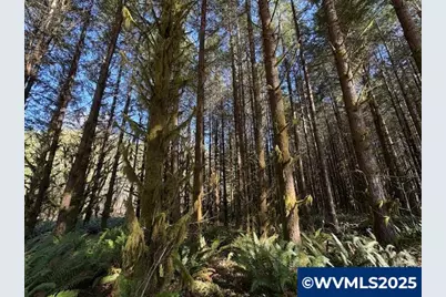 000 Logsden Rd, Blodgett, OR 97326 - Photo 18