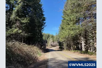 000 Logsden Rd, Blodgett, OR 97326 - Photo 10