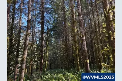 000 Logsden Rd, Blodgett, OR 97326 - Photo 16