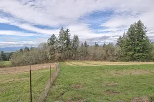 6110 SE Yampo, Amity, OR 97101 - Photo 46