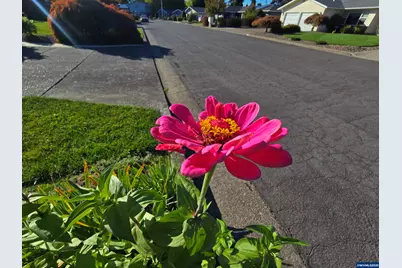 1104 29th Av SW, Albany, OR 97321 - Photo 44