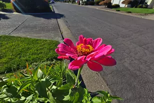 1104 29th Ave SW, Albany, OR 97321 - Photo 44