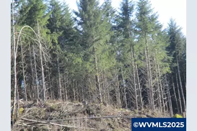 000 Abiqua Dam (Large) Rd, Silverton, OR 97381 - Photo 2