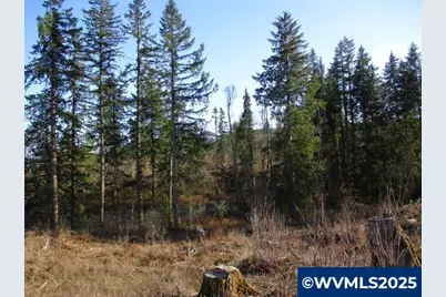 000 Abiqua Dam (Large) Rd, Silverton, OR 97381 - Photo 1