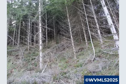 000 Abiqua Dam (Large) Rd, Silverton, OR 97381 - Photo 10