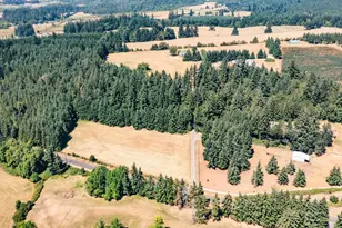 41959 Fish Hatchery Dr, Scio, OR 97374 - Photo 48