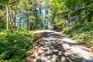 41959 Fish Hatchery Dr, Scio, OR 97374 - Photo 46