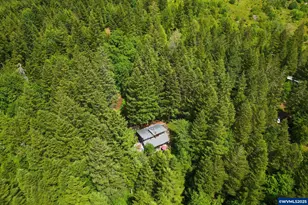 12251 SW East Creek Rd, Willamina, OR 97396 - Photo 6