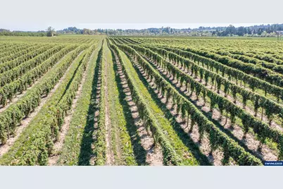 3372 River Bend Rd NW, Salem, OR 97304 - Photo 18