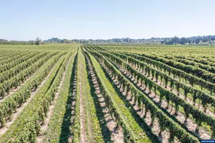 3372 River Bend Rd NW, Salem, OR 97304 - Photo 18