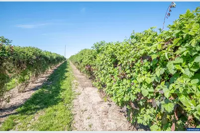 3372 River Bend Rd NW, Salem, OR 97304 - Photo 24