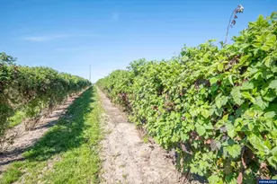 3372 River Bend Rd NW, Salem, OR 97304 - Photo 24