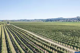 3372 River Bend Rd NW, Salem, OR 97304 - Photo 26