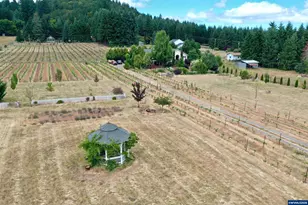 24880 Orchard Tract Rd, Monroe, OR 97456 - Photo 38