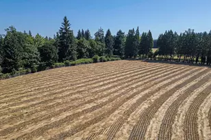 36765 Glaser Dr, Scio, OR 97374 - Photo 44