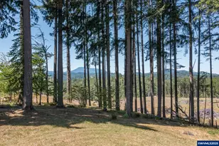 688 Wyatt Ln, Philomath, OR 97370 - Photo 34