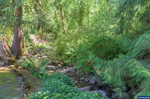 41886 Deerhorn Rd, Springfield, OR 97478 - Photo 40