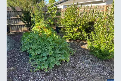 4638 Sunflower Wy NE, Salem, OR 97305 - Photo 32