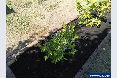 11177 Stockpile  SE Ln, Stayton, OR 97383 - Photo 28