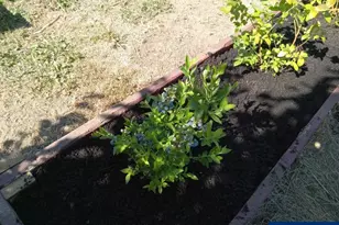 11177 Stockpile SE Ln, Stayton, OR 97383 - Photo 28