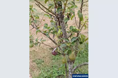 11177 Stockpile  SE Ln, Stayton, OR 97383 - Photo 32