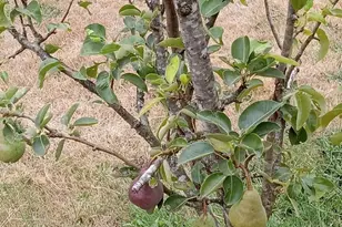 11177 Stockpile SE Ln, Stayton, OR 97383 - Photo 32