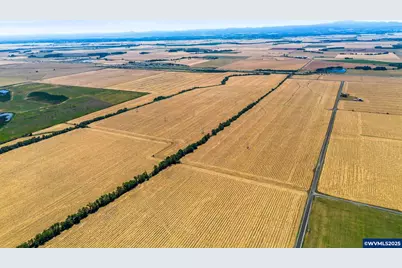 (Next To 32746) Belts Dr, Harrisburg, OR 97446 - Photo 12