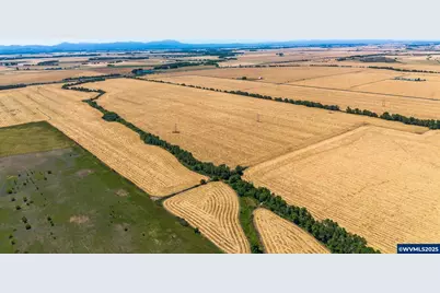 (Next To 32746) Belts Dr, Harrisburg, OR 97446 - Photo 8