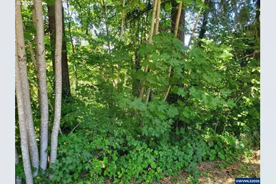 1006 Mountain View Rd Rd, Sweet Home, OR 97386 - Photo 32