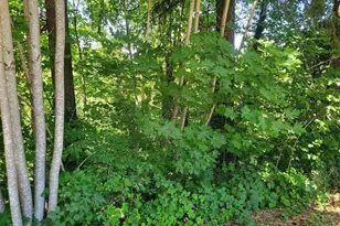 1006 Mountain View Rd Rd, Sweet Home, OR 97386 - Photo 32