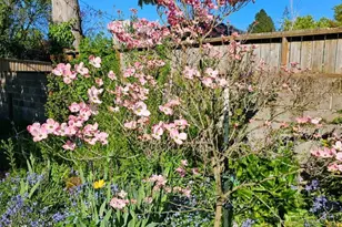 578 23rd St NE, Salem, OR 97301 - Photo 44