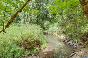 21303 S Central Point Rd, Oregon City, OR 97045 - Photo 50