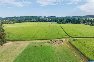 21303 S Central Point Rd, Oregon City, OR 97045 - Photo 12