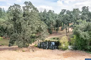 7002 Rainbow Dr SE, Salem, OR 97306 - Photo 48